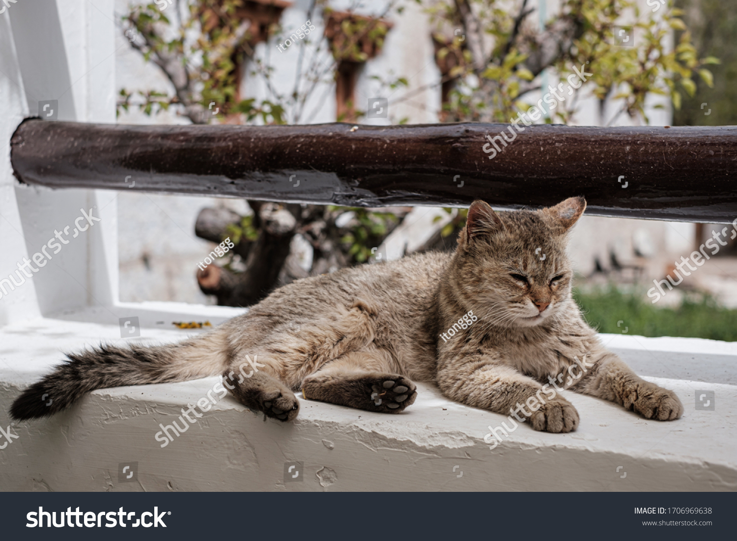 Post Image