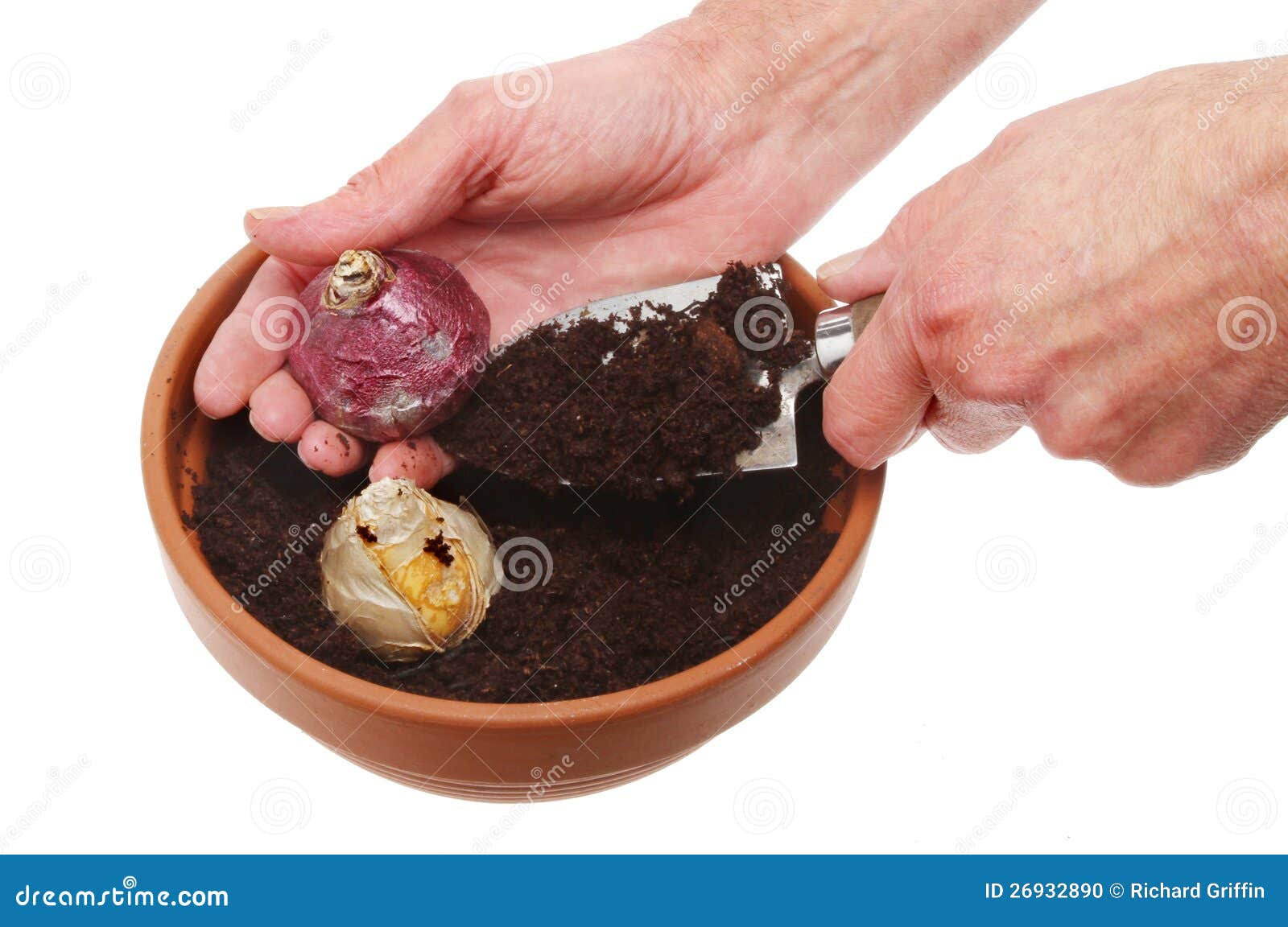 Post Image