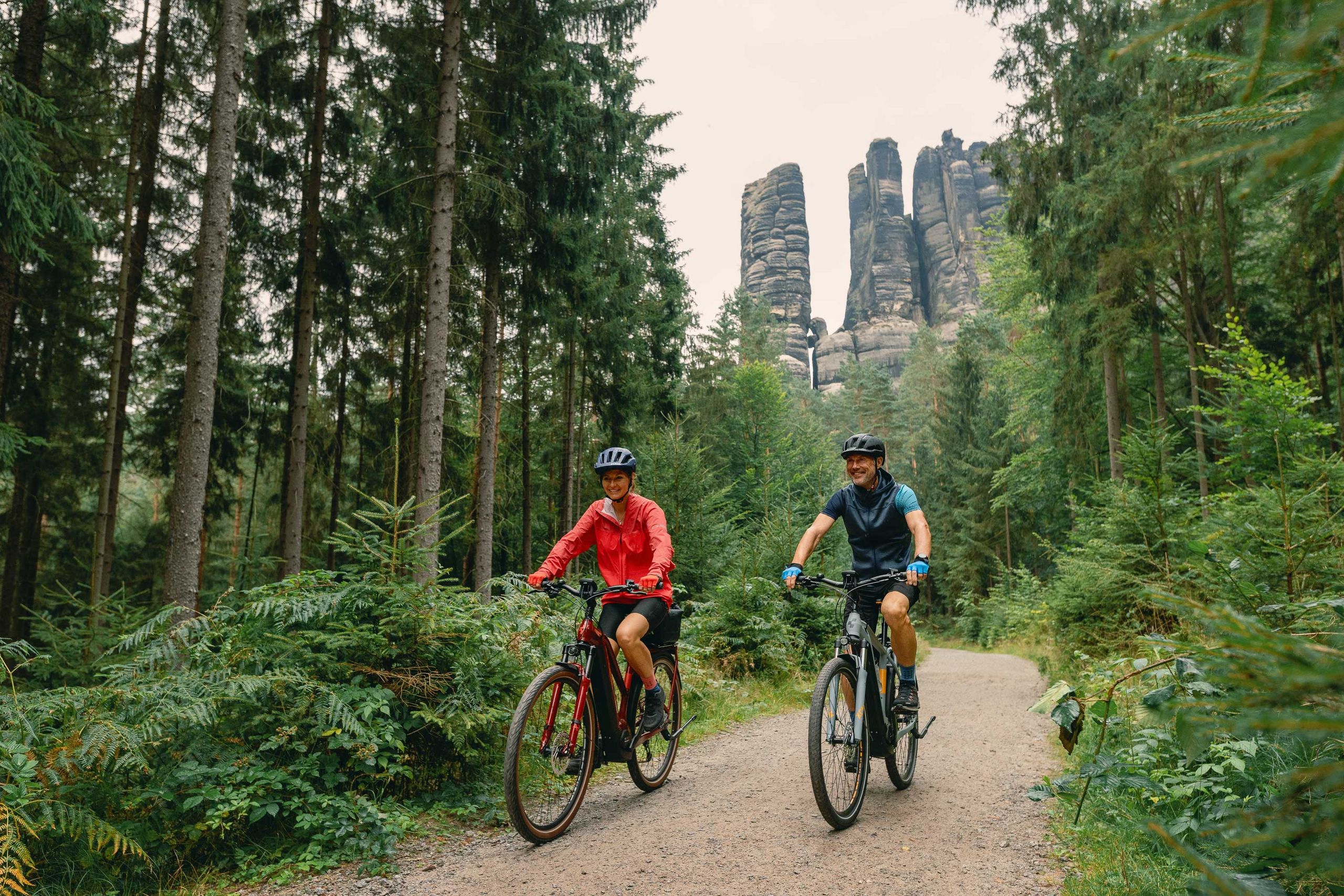 000 Bäume: Wiederaufforstung Im Nationalpark Sächsische Schweiz 000 Bäume: Wiederaufforstung Im Nationalpark Sächsische Schweiz