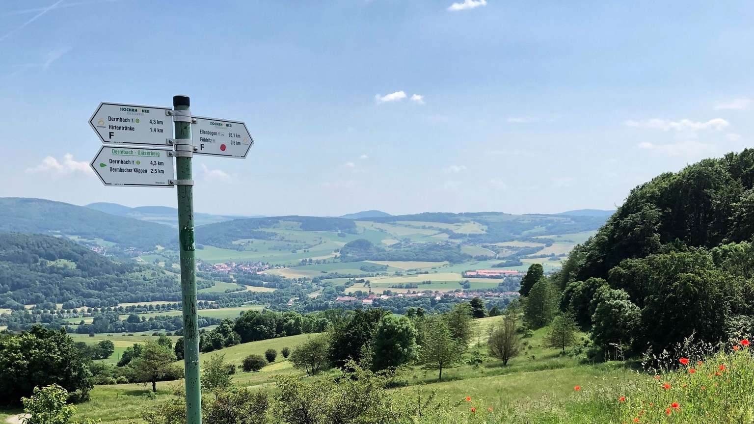 000 Neue Bäume: Großes Naturschutzprojekt Im Nationalpark Sächsische Schweiz 000 Neue Bäume: Großes Naturschutzprojekt Im Nationalpark Sächsische Schweiz