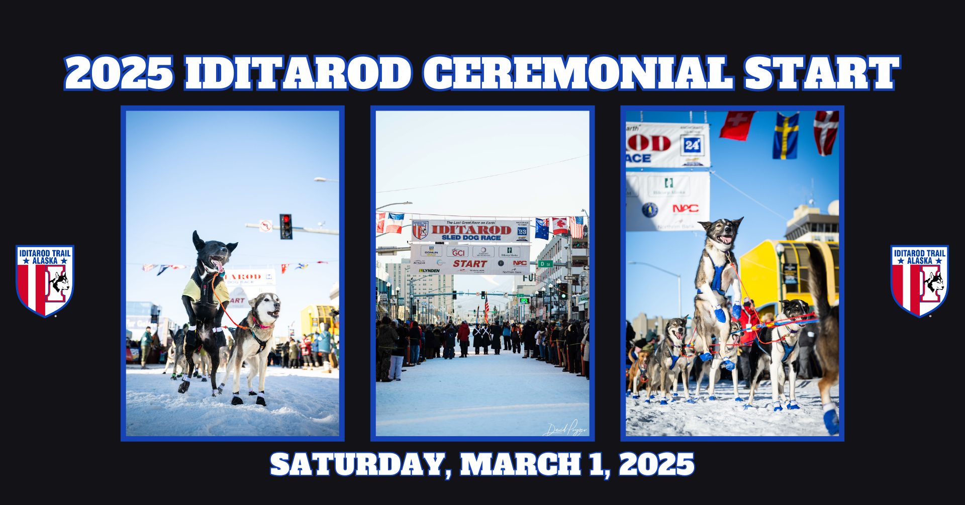 2025 Iditarod Kicks Off In Anchorage: Downtown Filled With Spectators 2025 Iditarod Kicks Off In Anchorage: Downtown Filled With Spectators