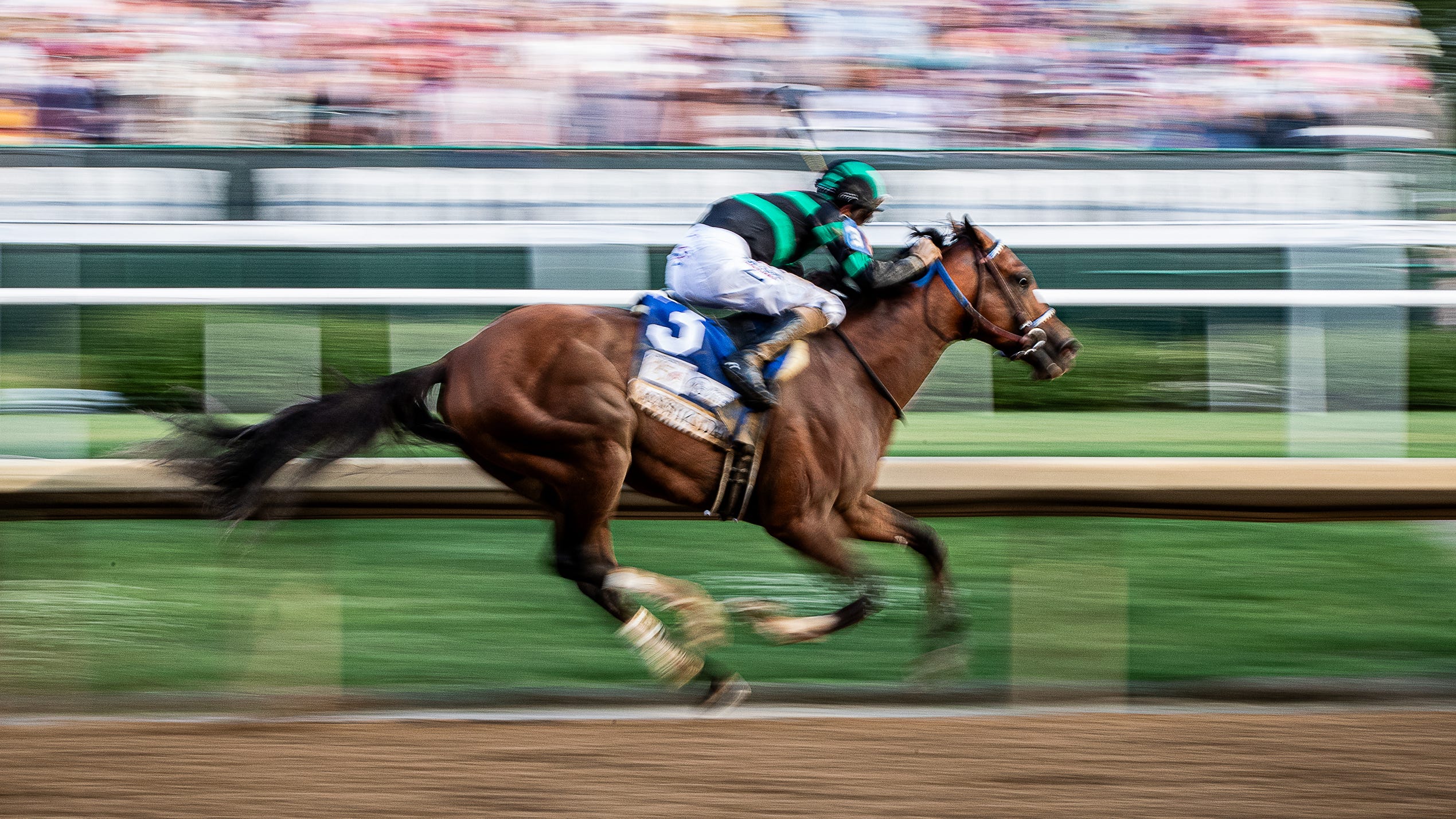 2025 Kentucky Derby: Chunk Of Gold's Profile And Betting Odds 2025 Kentucky Derby: Chunk Of Gold's Profile And Betting Odds