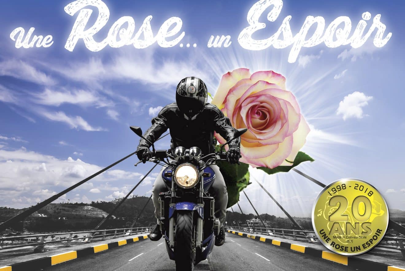 2025 Love Moto Stop Cancer: Online Auction For A Great Cause 2025 Love Moto Stop Cancer: Online Auction For A Great Cause
