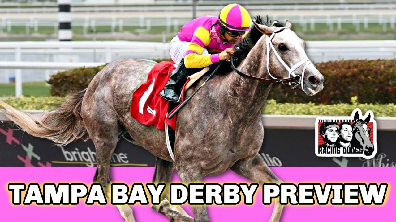 2025 Tampa Bay Derby: A Comprehensive Guide To Odds, Field & Picks 2025 Tampa Bay Derby: A Comprehensive Guide To Odds, Field & Picks