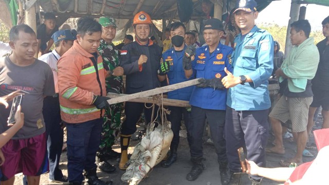 334 Penyelamatan Non-Kebakaran Oleh Damkarmat Bandar Lampung: Laporan Awal Mei 2025 334 Penyelamatan Non-Kebakaran Oleh Damkarmat Bandar Lampung: Laporan Awal Mei 2025