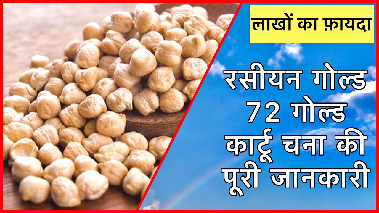 शेयर बाजार: 4.5 लाख करोड़ का मुनाफ़ा, सेंसेक्स में भारी तेज़ी शेयर बाजार: 4.5 लाख करोड़ का मुनाफ़ा, सेंसेक्स में भारी तेज़ी