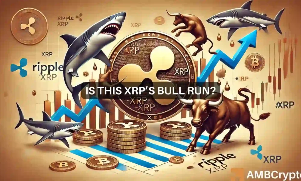 5880% Rally: Why This Altcoin Could Be The Next XRP 5880% Rally: Why This Altcoin Could Be The Next XRP
