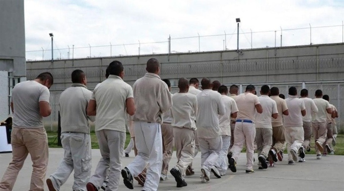7 Nuevos Vehículos Para El Sistema Penitenciario: Aumento De La Eficiencia Operativa 7 Nuevos Vehículos Para El Sistema Penitenciario: Aumento De La Eficiencia Operativa