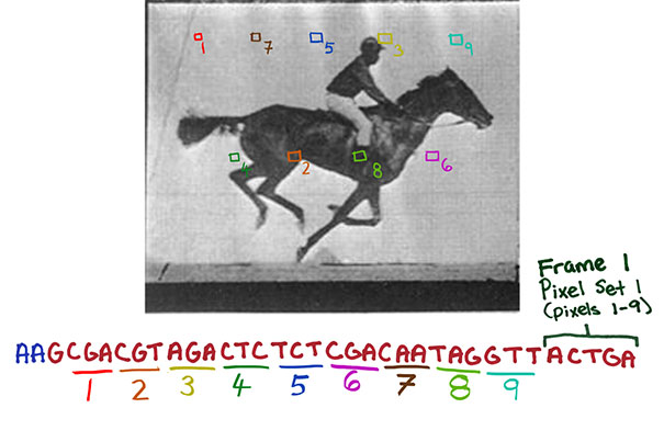 A Powerful New CRISPR System For Whole Gene Insertion In Human Cells A Powerful New CRISPR System For Whole Gene Insertion In Human Cells