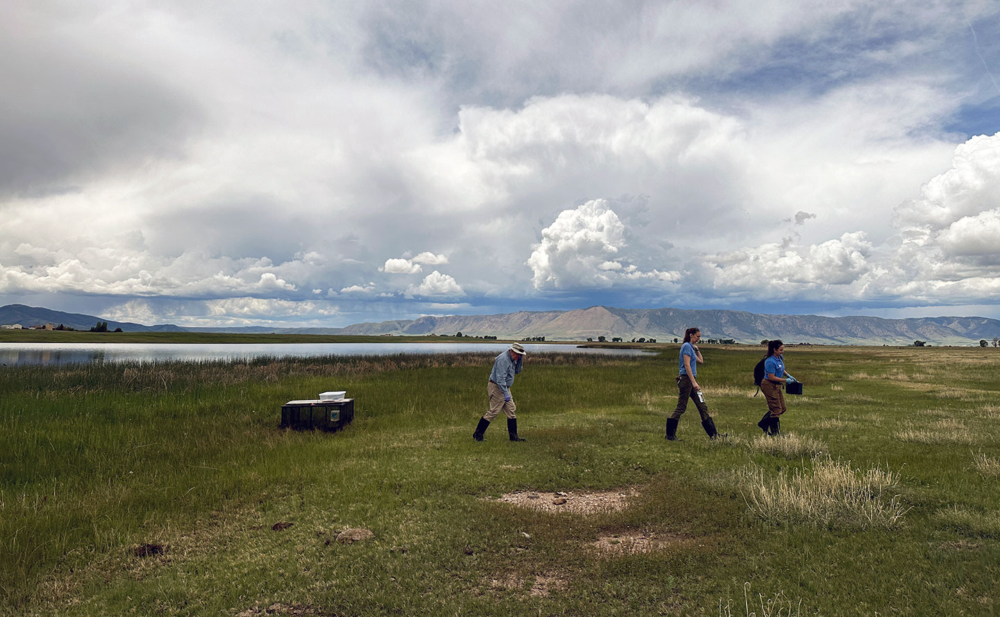 A Turning Point For Otter Management In Wyoming: New Strategies And Conservation Efforts A Turning Point For Otter Management In Wyoming: New Strategies And Conservation Efforts