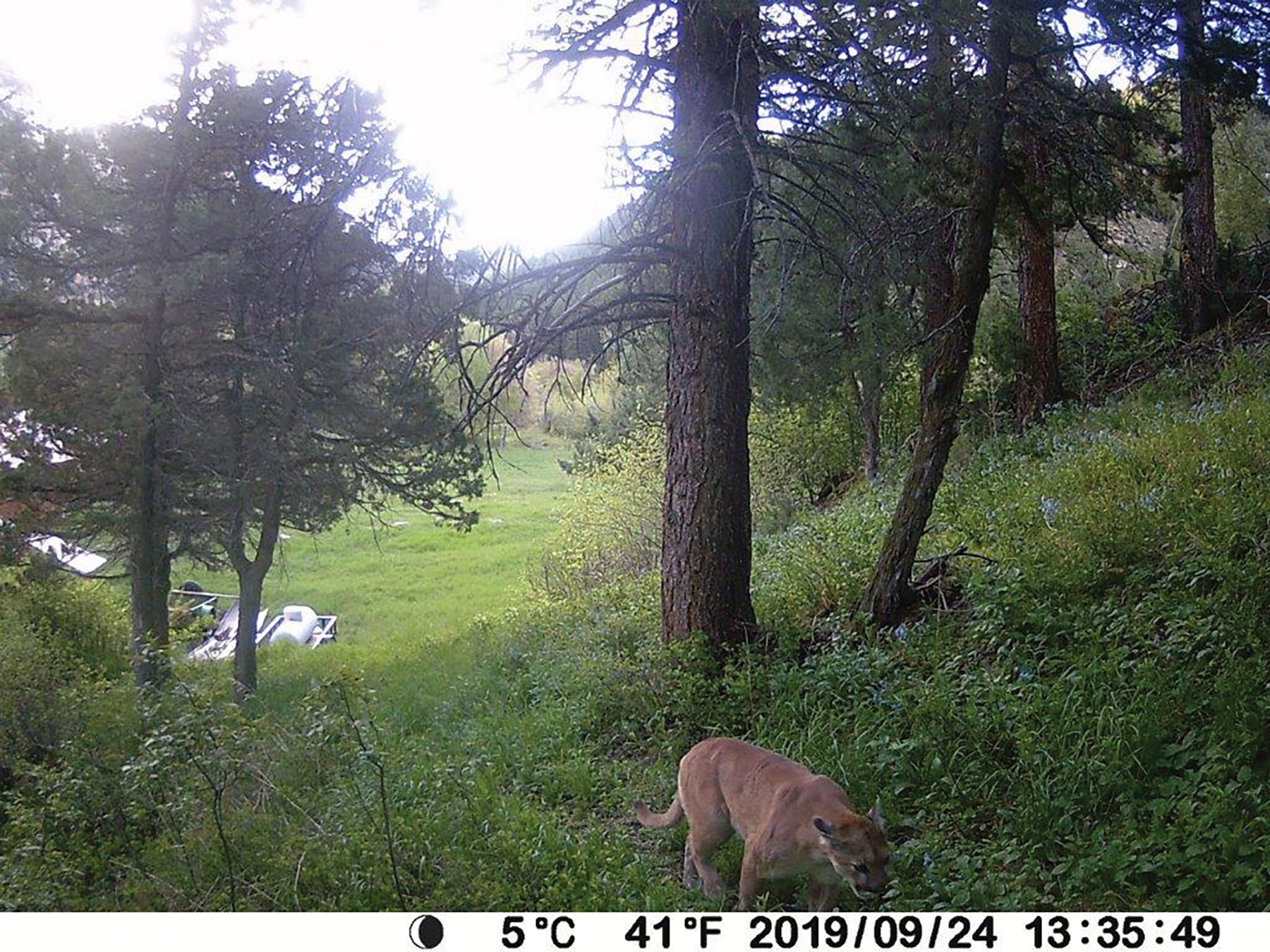 A Turning Point For Otter Management In Wyoming A Turning Point For Otter Management In Wyoming