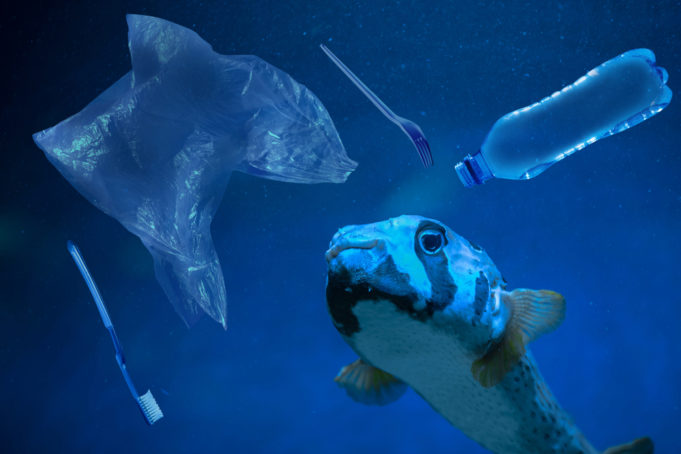 Acqua E Microplastiche: Un'analisi Della Contaminazione Acqua E Microplastiche: Un'analisi Della Contaminazione