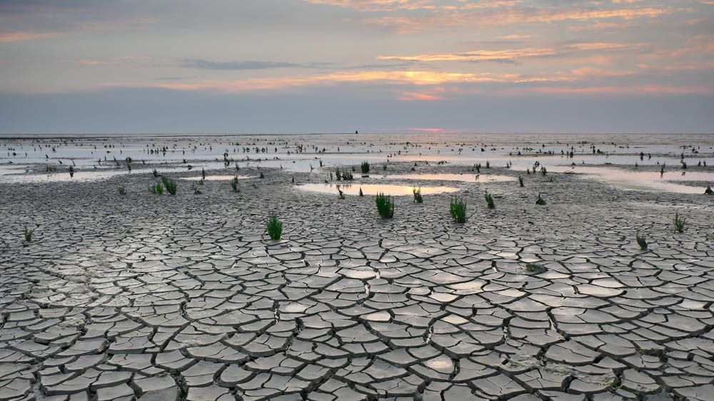 Afgelaste Paasvuren Drenthe: Gevolgen Van De Droogte Afgelaste Paasvuren Drenthe: Gevolgen Van De Droogte