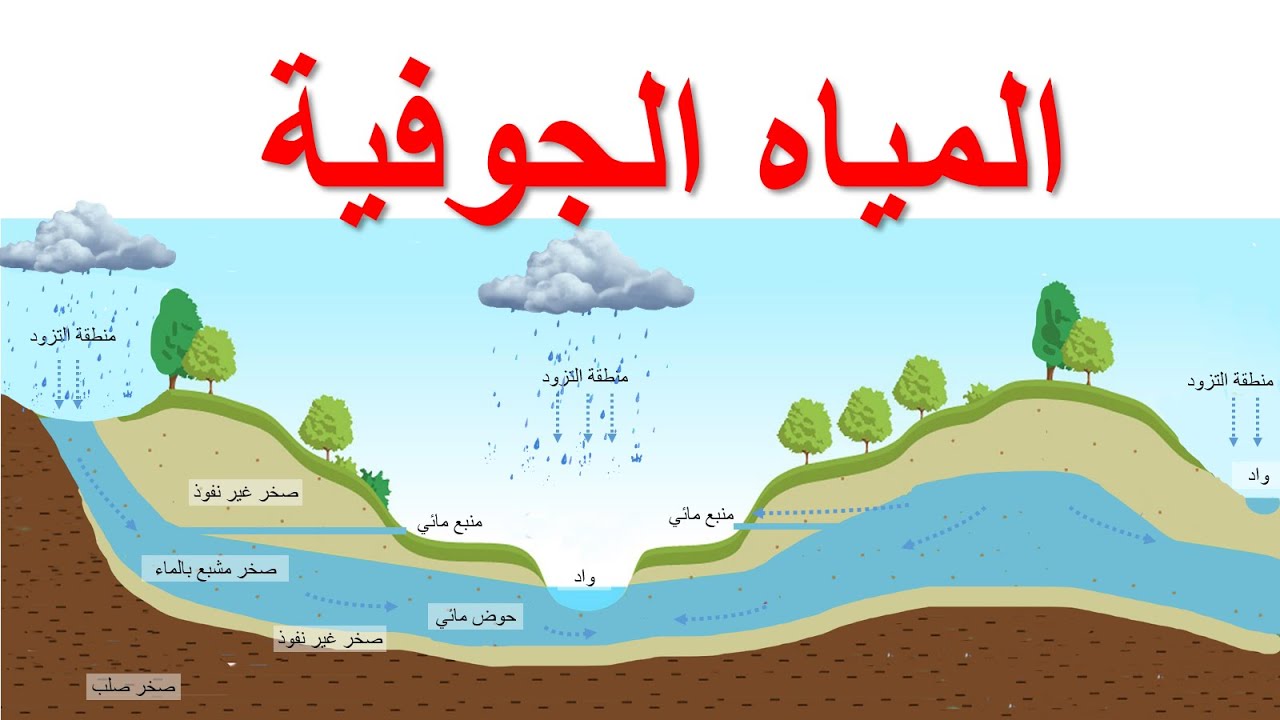 الانتقال من الأهلي إلى العربي: كيف أثّر على مستوى فيراتي؟ الانتقال من الأهلي إلى العربي: كيف أثّر على مستوى فيراتي؟
