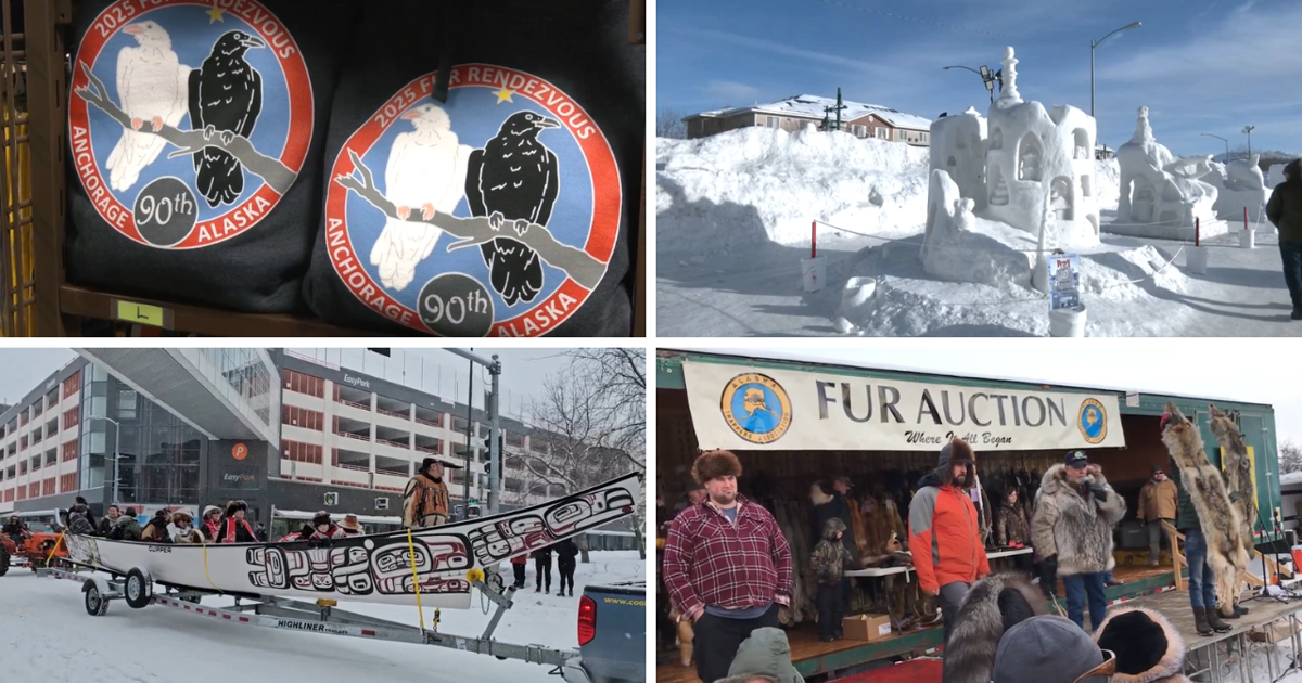 Alaska's Fur Rondy: Mushers Persevere Despite Shorter Race Alaska's Fur Rondy: Mushers Persevere Despite Shorter Race