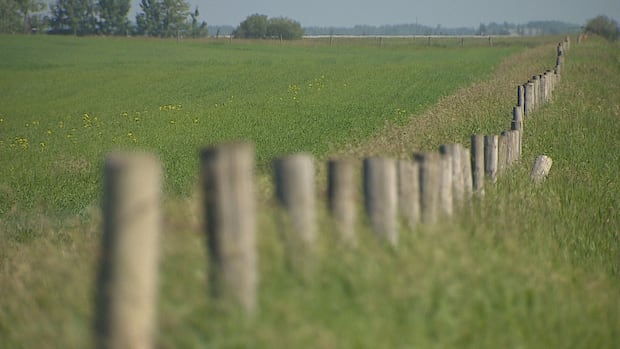Alberta Faces Economic Blow From Tariffs: Dow Megaproject Delayed Alberta Faces Economic Blow From Tariffs: Dow Megaproject Delayed