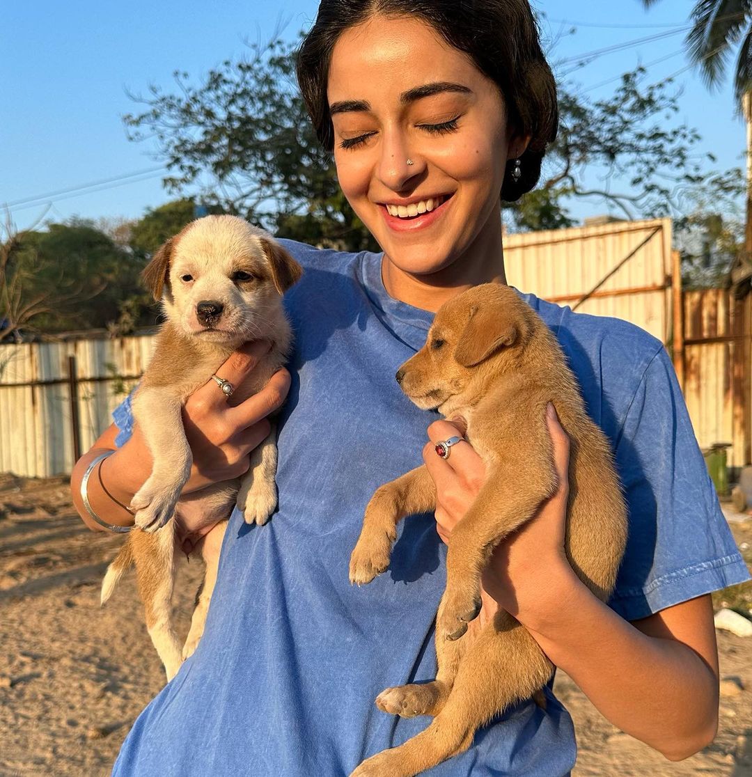 Ananya Panday's Pet Dog Riot Turns One: A Bone-Cake Birthday Bash Ananya Panday's Pet Dog Riot Turns One: A Bone-Cake Birthday Bash