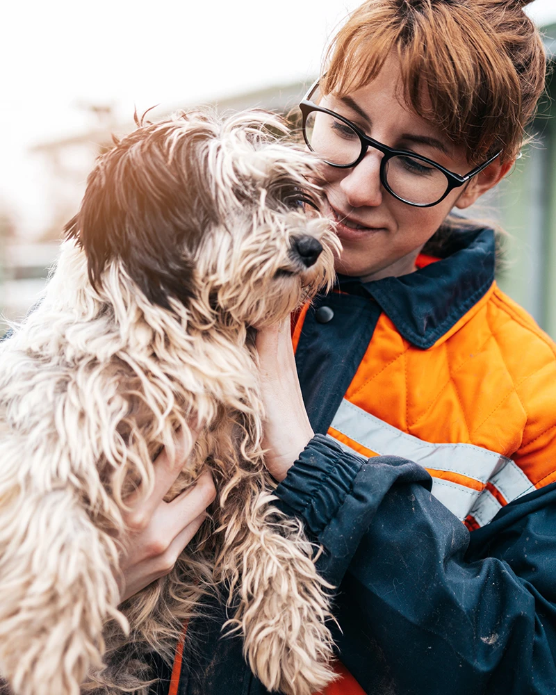 Animal Welfare Officials Remove 49 Dogs From Licensed Breeder In Washington County Animal Welfare Officials Remove 49 Dogs From Licensed Breeder In Washington County