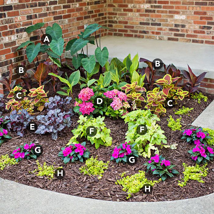 Annuals Or Perennials? The Ultimate Guide For Flower Garden Planning Annuals Or Perennials? The Ultimate Guide For Flower Garden Planning