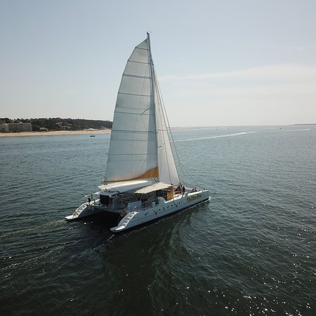 Arcachon Et Le Tip Top One : 22 Ans D'Histoire Arcachon Et Le Tip Top One : 22 Ans D'Histoire