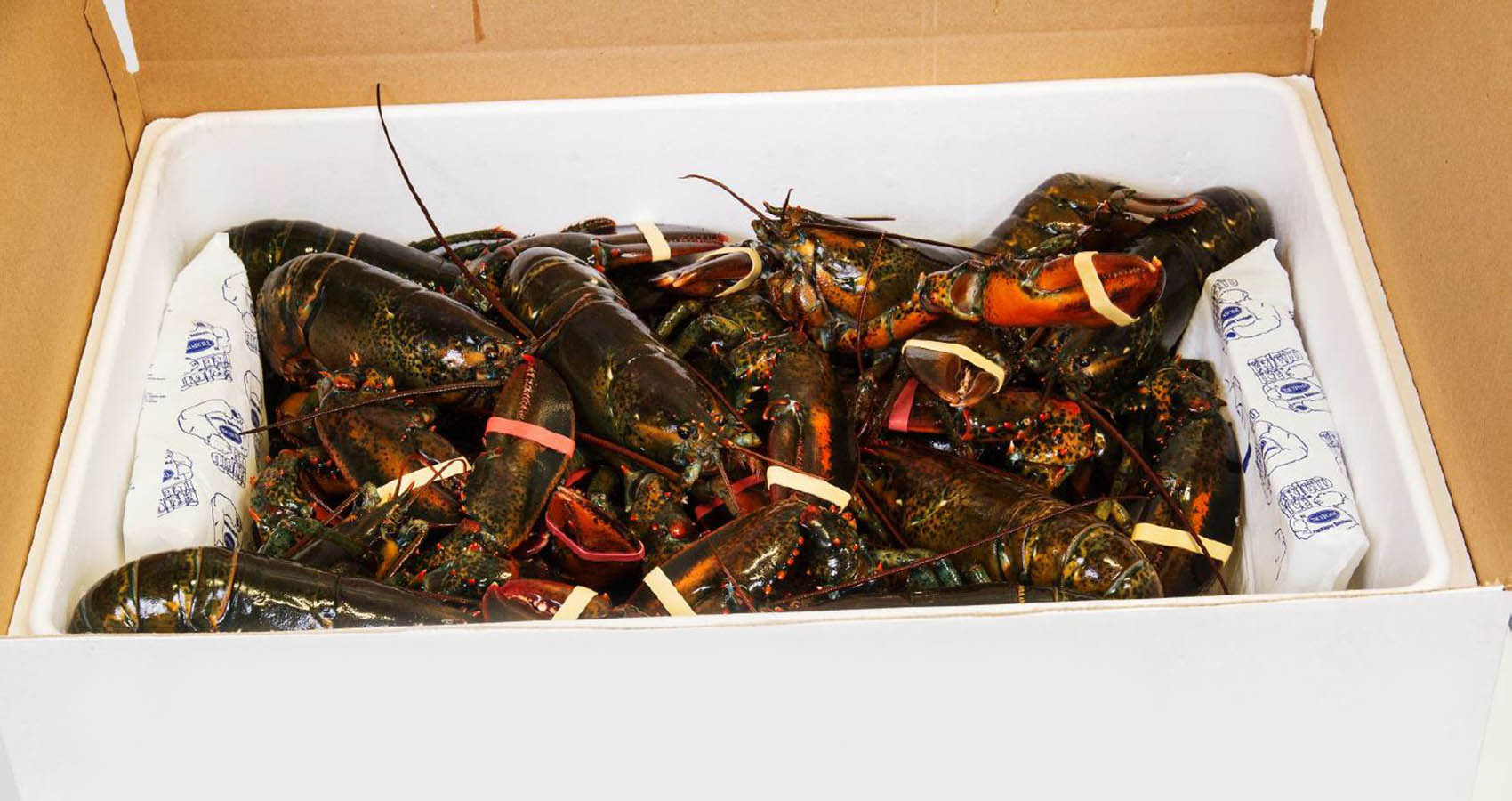 Atlantic Canada Lobster Industry Faces Crisis: Low Prices And Global Economic Headwinds Atlantic Canada Lobster Industry Faces Crisis: Low Prices And Global Economic Headwinds