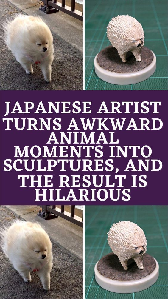 Awkward Animal Moments: Boris Johnson's Encounters With Wildlife Awkward Animal Moments: Boris Johnson's Encounters With Wildlife