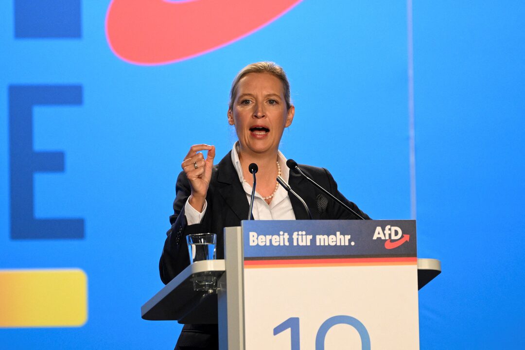 Bayern President Rejects Far-Right AfD Involvement Bayern President Rejects Far-Right AfD Involvement