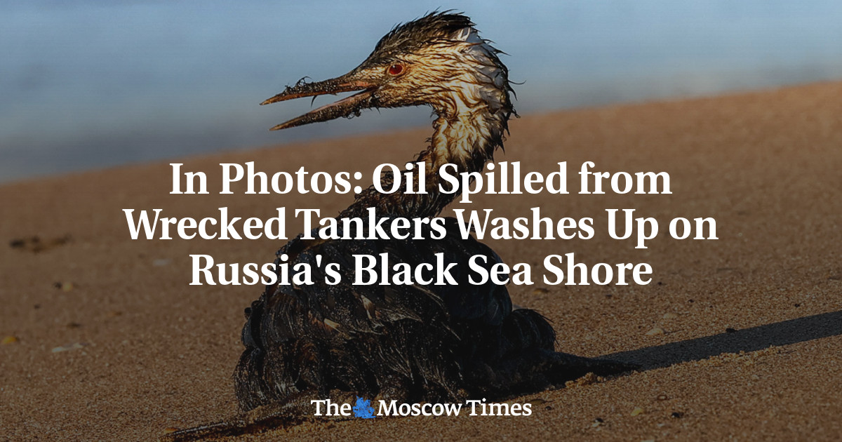 Black Sea Oil Spill Leads To Closure Of Beaches In Russia