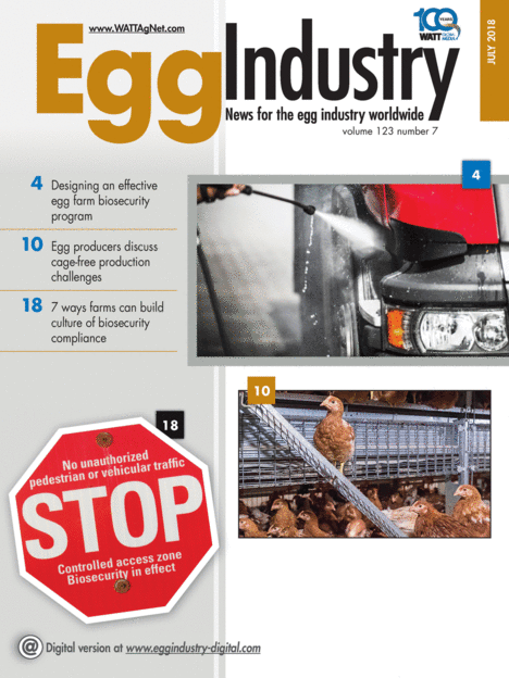 BMW And Porsche's China Challenges: A Wider Industry Issue BMW And Porsche's China Challenges: A Wider Industry Issue
