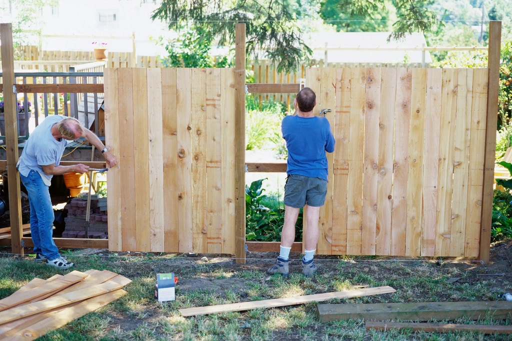 Building A Living Fence: A Step-by-Step Tutorial Building A Living Fence: A Step-by-Step Tutorial