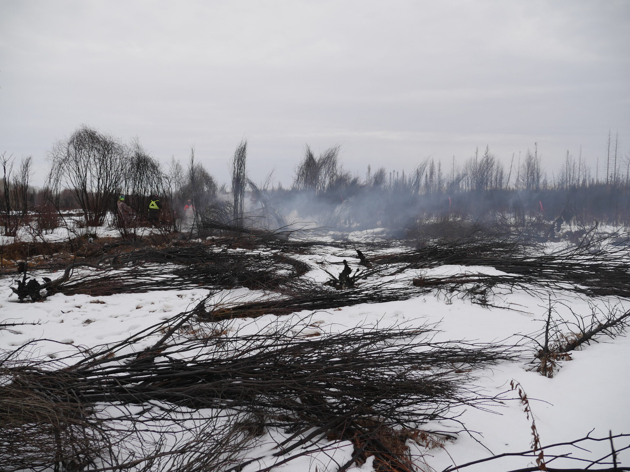Canada And Minnesota: Wildfire Season Begins Sooner Than Expected Canada And Minnesota: Wildfire Season Begins Sooner Than Expected