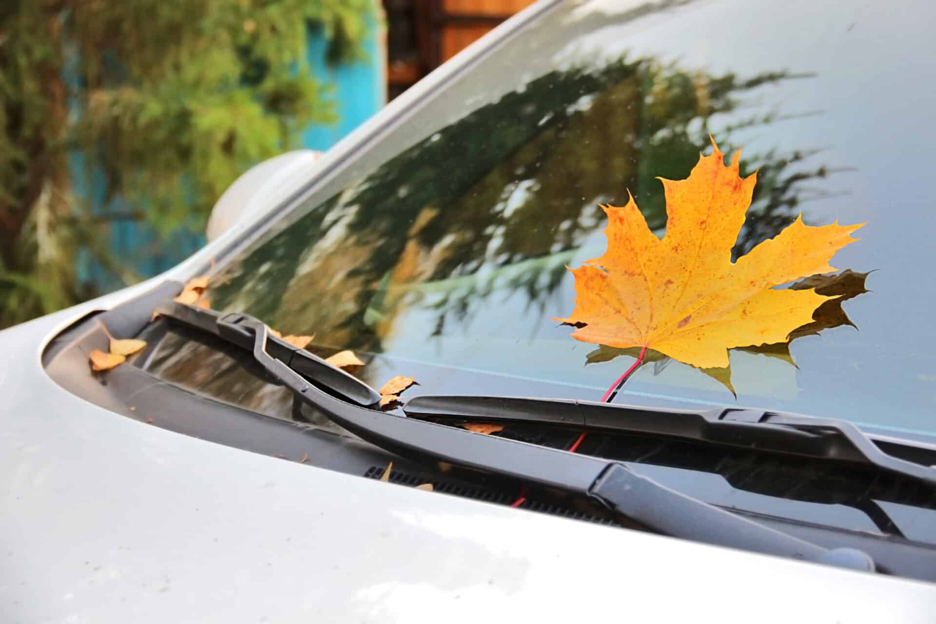 Canadian Auto Dealers Fight Back: A Five-Point Plan To Counter US Trade Actions Canadian Auto Dealers Fight Back: A Five-Point Plan To Counter US Trade Actions