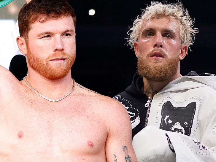Canelo Alvarez's Blunt One-Word Take On Jake Paul And His Critics Canelo Alvarez's Blunt One-Word Take On Jake Paul And His Critics