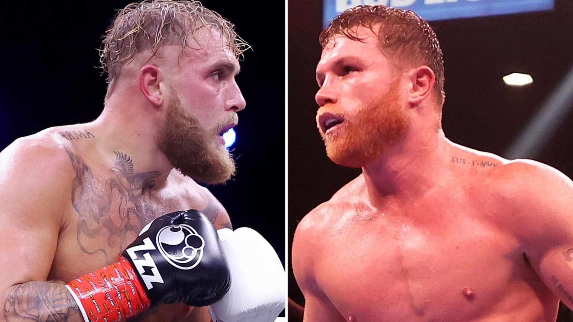 Canelo Alvarez's One-Word Assessment Of Jake Paul And Other Boxers Canelo Alvarez's One-Word Assessment Of Jake Paul And Other Boxers