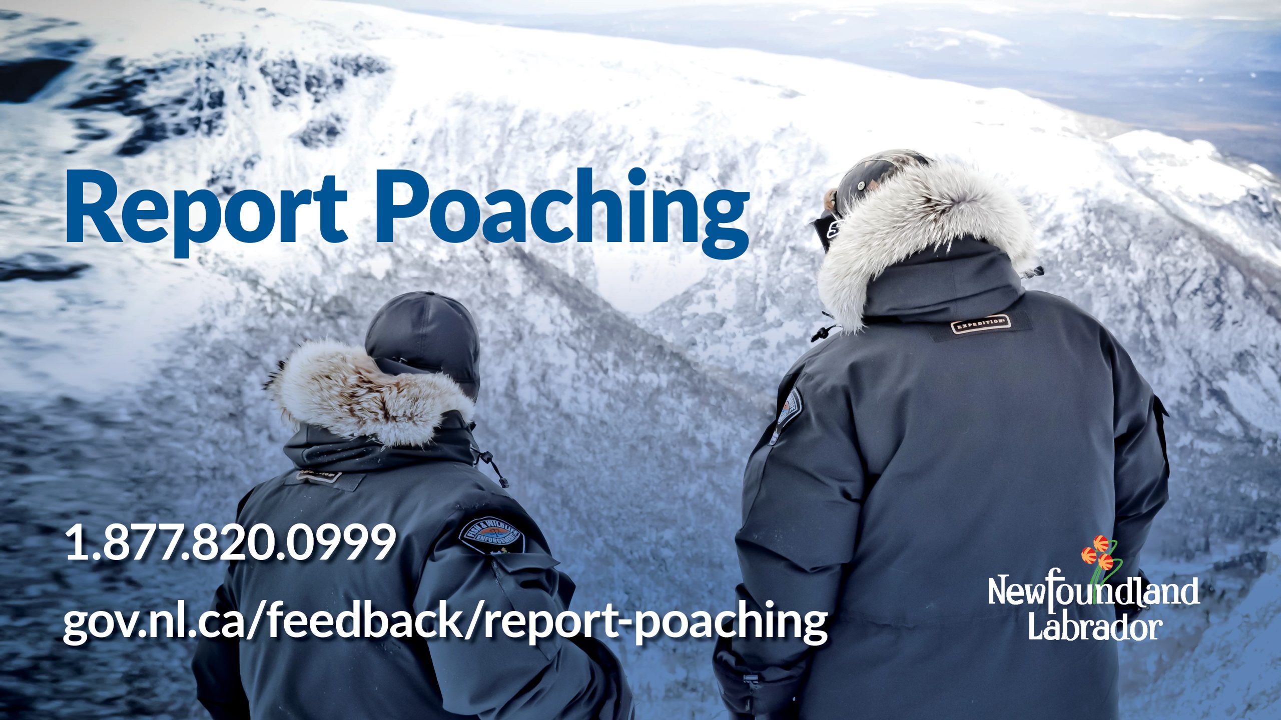 Caribou Poaching Suspects Sought Following Remote Lodge Intrusion Caribou Poaching Suspects Sought Following Remote Lodge Intrusion
