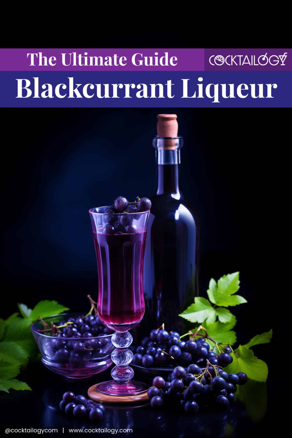 Cassis Blackcurrant Liqueur: A Connoisseur's Appreciation Cassis Blackcurrant Liqueur: A Connoisseur's Appreciation