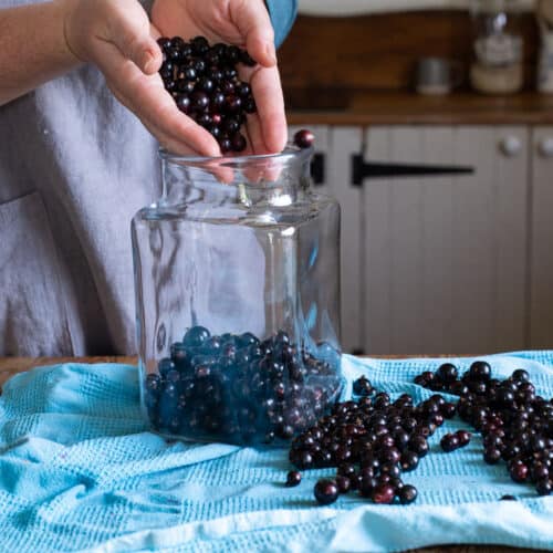 Cassis Blackcurrant Recipes And Pairings Cassis Blackcurrant Recipes And Pairings