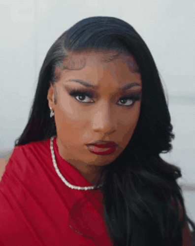Chicago Gun Laws And The Meg Thee Stallion Case: A Comparison Chicago Gun Laws And The Meg Thee Stallion Case: A Comparison