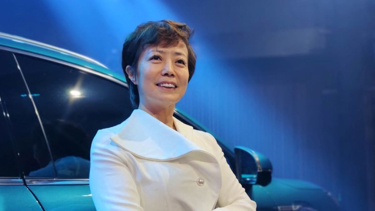 China's BYD Challenges Ford's Legacy In Brazil's Electric Vehicle Market China's BYD Challenges Ford's Legacy In Brazil's Electric Vehicle Market