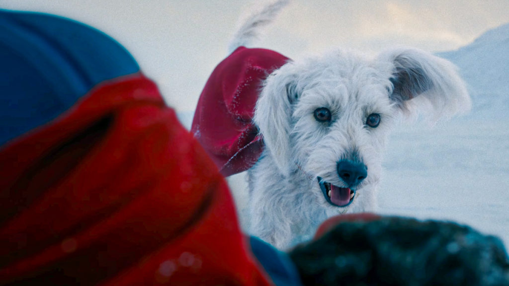 CinemaCon 2024: Superman Highlights Krypto The Superdog's Role CinemaCon 2024: Superman Highlights Krypto The Superdog's Role