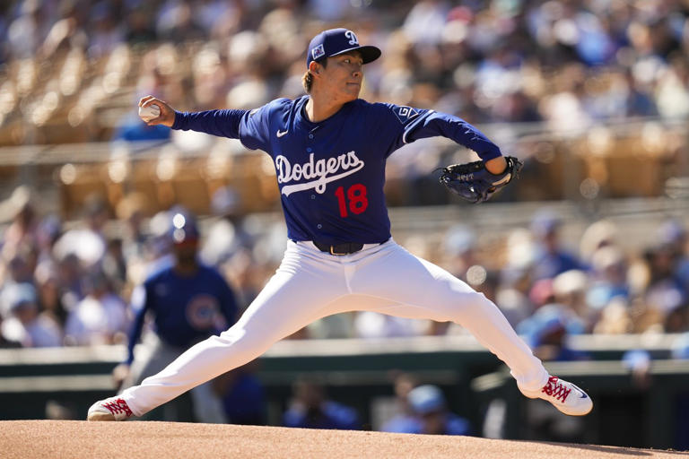 Cody Poteet's Successful ABS Challenge: A Chicago Cubs Spring Training First