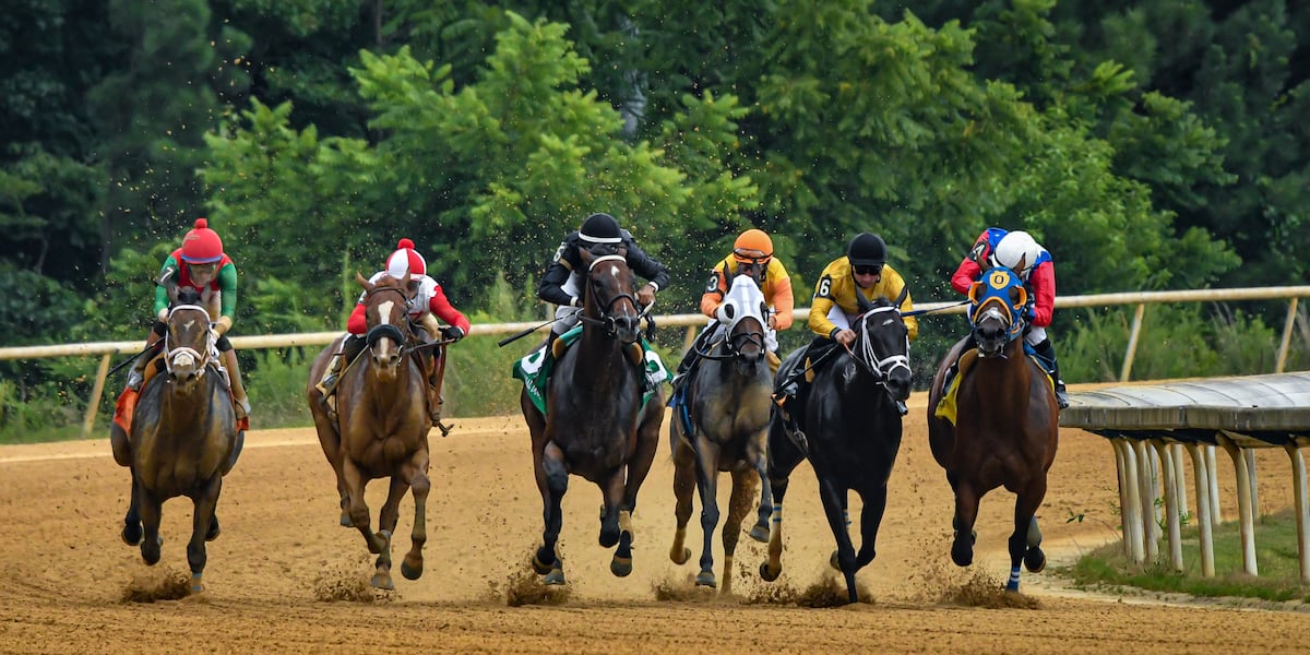 Colonial Downs To Host Virginia Derby: Stone's Announcement Imminent Colonial Downs To Host Virginia Derby: Stone's Announcement Imminent