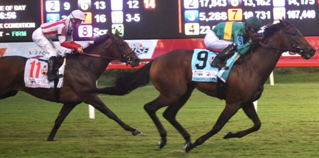 Colonial Downs To Host Virginia Derby: Stone's Big Reveal Colonial Downs To Host Virginia Derby: Stone's Big Reveal