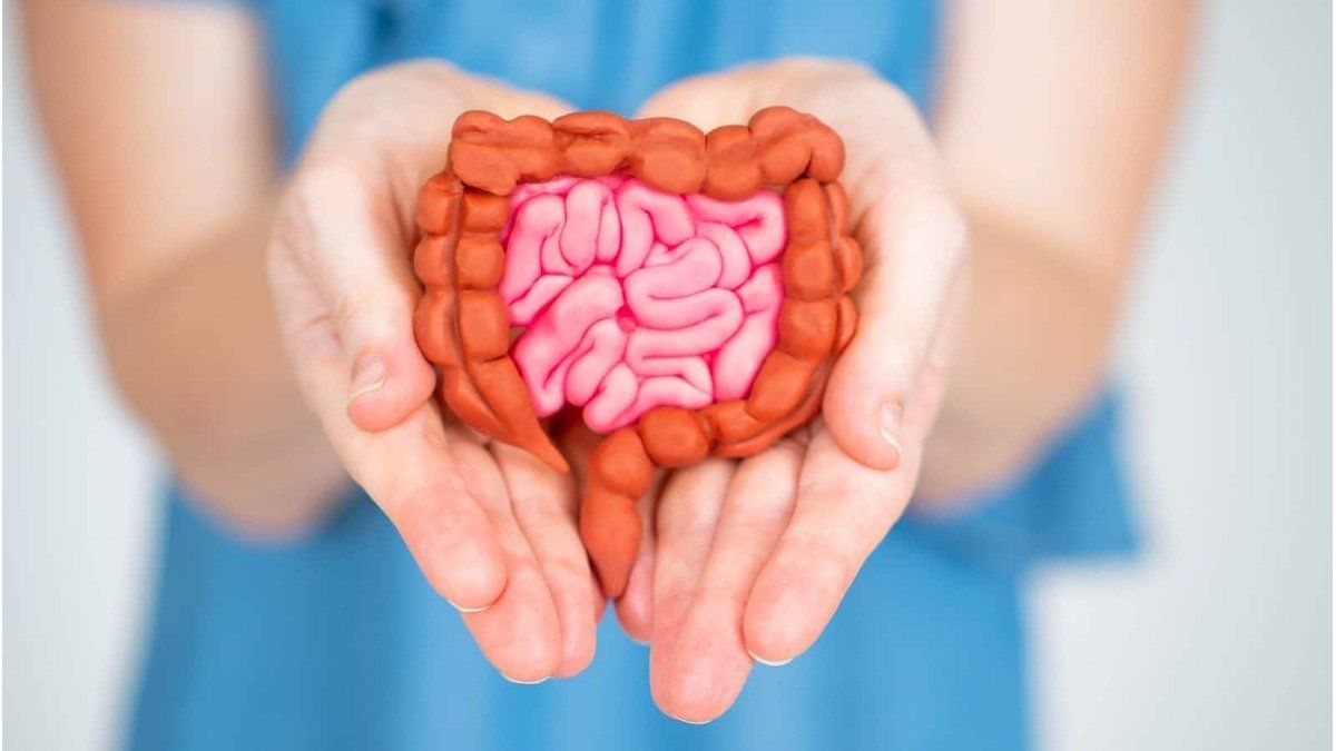 Combatiendo Enfermedades Crónicas: Un Superalimento Superior Al Arándano Combatiendo Enfermedades Crónicas: Un Superalimento Superior Al Arándano
