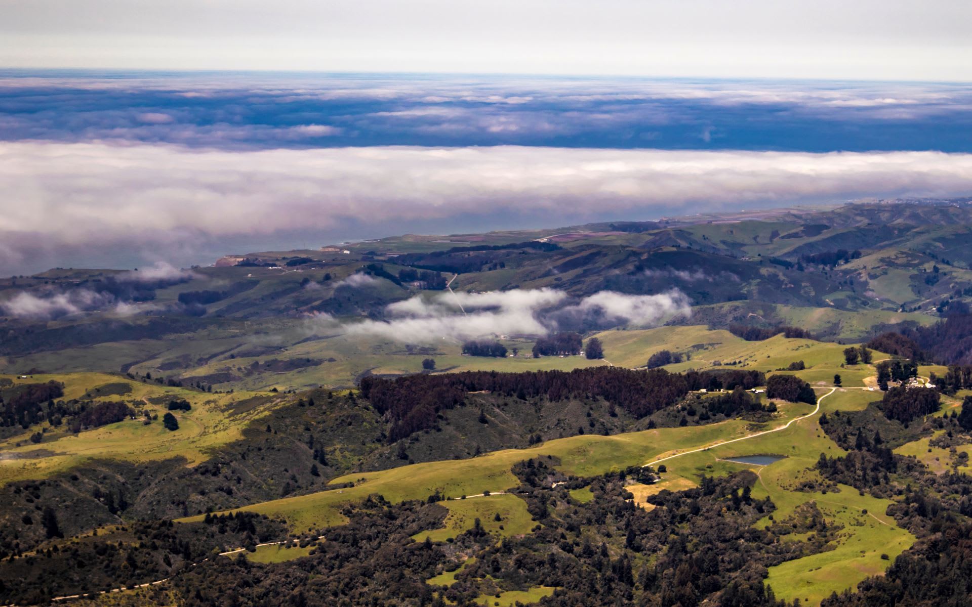 Community Leader Sue Crane Of Portola Valley Passes Away Community Leader Sue Crane Of Portola Valley Passes Away