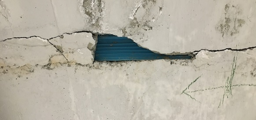Condo Crack Crisis, Seaweed Innovation, And Corporate Turmoil: News Summary Condo Crack Crisis, Seaweed Innovation, And Corporate Turmoil: News Summary
