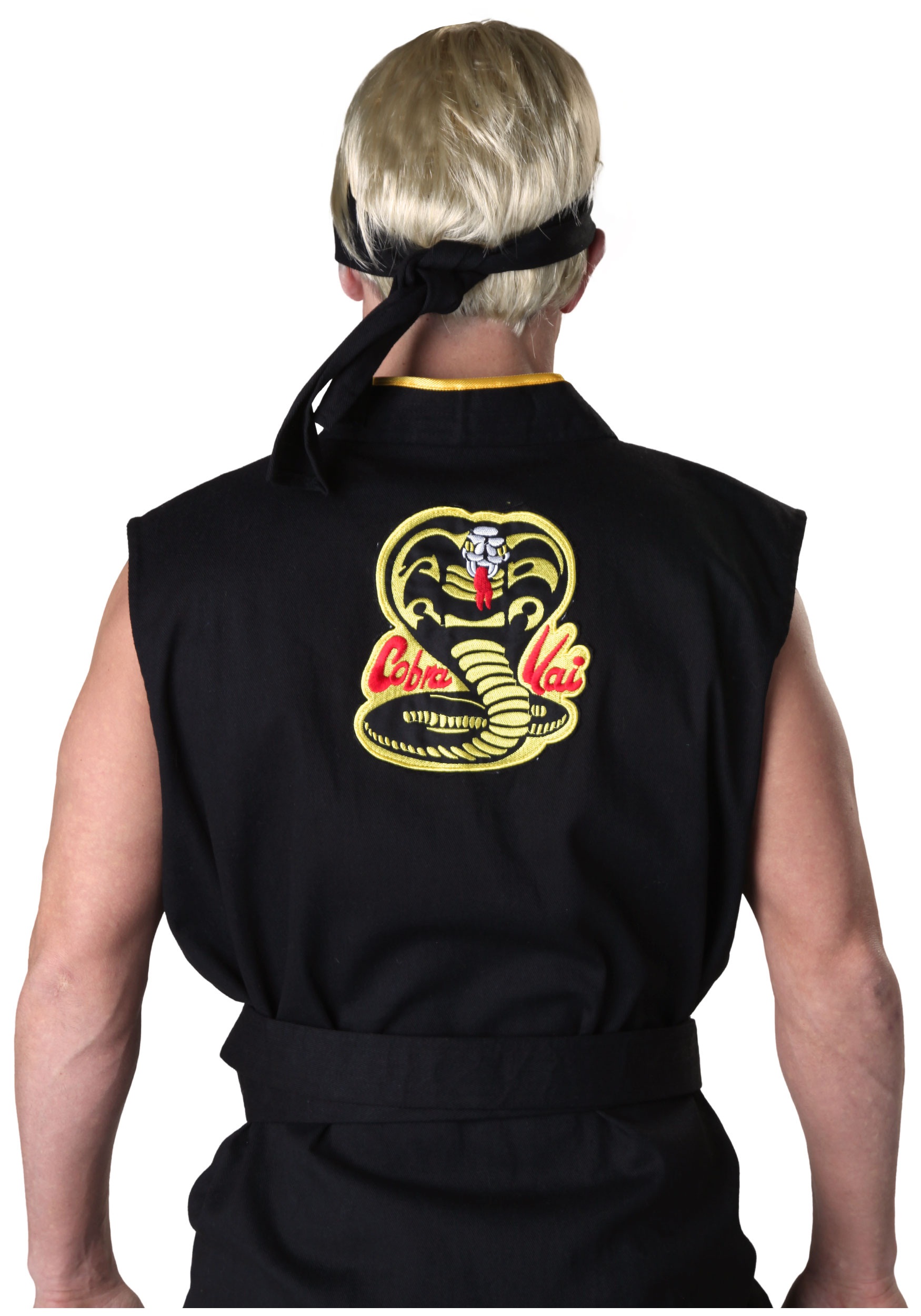 Connecting The Dots: Cobra Kai's Place In The Karate Kid Universe Connecting The Dots: Cobra Kai's Place In The Karate Kid Universe