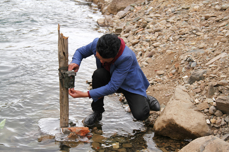 Conservation Efforts For Wyoming's Otters: Progress And Challenges Conservation Efforts For Wyoming's Otters: Progress And Challenges