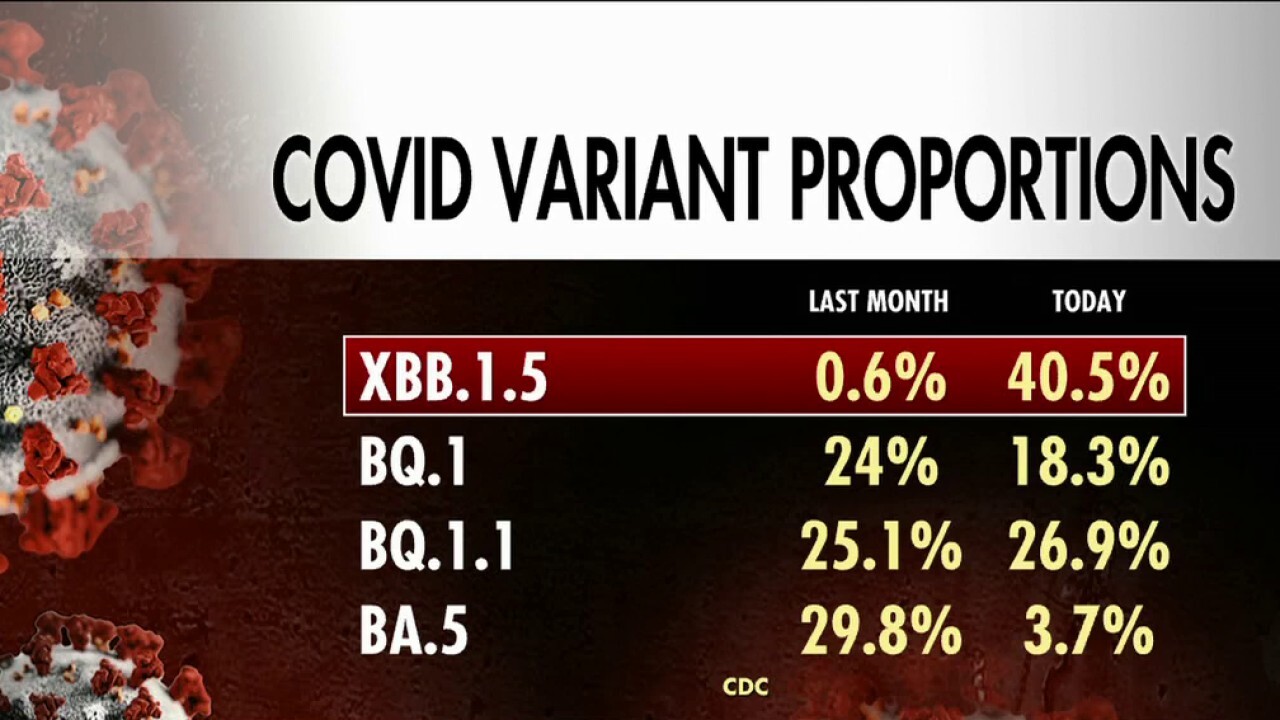 COVID-19 Variant LP.8.1: A Comprehensive Overview COVID-19 Variant LP.8.1: A Comprehensive Overview