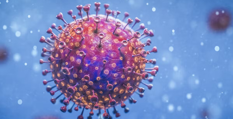 COVID-19 Variants BA.1 And LF.7: INSACOG Data And Potential Risk To India COVID-19 Variants BA.1 And LF.7: INSACOG Data And Potential Risk To India